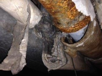 asbestos consultation